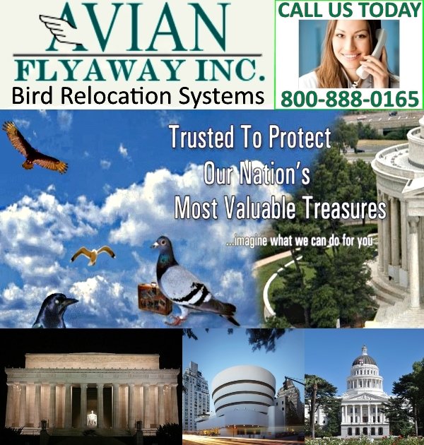 Avian Flyaway Inc Company Logo showing installation at California State Capital, Lincoln Memorial, Jefferson Memorial, and Guggenheim Museum